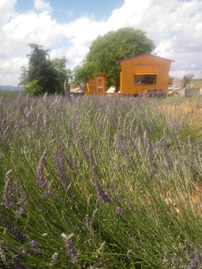 Chambre A La Ferme Au Milieu Des Lavandes Valensole Eksteriør bilde